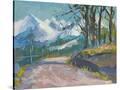 Stretched Canvas