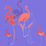 Flamingoes-Anna Platts-Framed Giclee Print