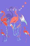 Flamingoes-Anna Platts-Giclee Print