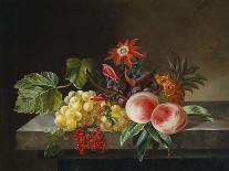 Peaches, Grapes, a Pineapple, Redcurrants and a Passion Flower in a Vase on a Ledge-Anna Plenge-Framed Premium Giclee Print