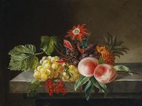 Peaches, Grapes, a Pineapple, Redcurrants and a Passion Flower in a Vase on a Ledge-Anna Plenge-Framed Premium Giclee Print