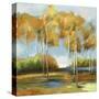 Stretched Canvas