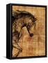 Framed Canvas