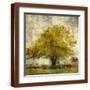 Brown Frame