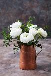 White Ranunculus Flowers Brown Background-Anna Pustynnikova-Photographic Print