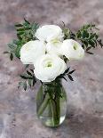 White Ranunculus Flowers in Vase Grey Background-Anna Pustynnikova-Photographic Print