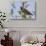 Anna's Hummingbird-Hal Beral-Stretched Canvas displayed on a wall