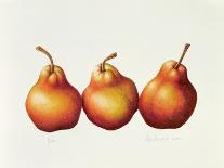 Figs, 2001-Annabel Barrett-Framed Giclee Print