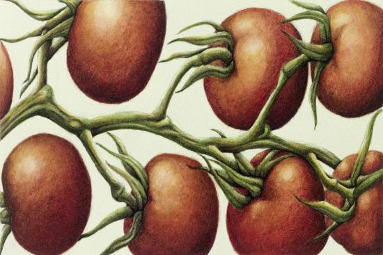 Premium Giclee Print, , large