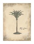 African Oil Palm-Hewitt-Giclee Print