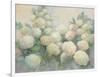 Annabelle Hydrangeas-Julia Purinton-Framed Art Print