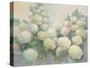 Annabelle Hydrangeas-Julia Purinton-Stretched Canvas