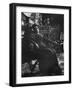 Annah La Javanaise (B.1880) Mistress of Paul Gauguin (1848-1903) Rue De La Grande Chaumiere-Alphonse Mucha-Framed Photographic Print