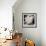 Annalie-Cristina Salas Mendoza-Framed Photographic Print displayed on a wall