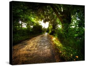 Annan Road-Dale MacMillan-Stretched Canvas