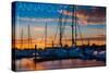 Annapolis, Maryland - Sailboats at Sunset-Lantern Press-Stretched Canvas