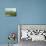 Annapurna Himal, Machapuchare and Phewa Tal Seen from Pokhara, Gandaki Zone, Western Region, Nepal-Jochen Schlenker-Photographic Print displayed on a wall