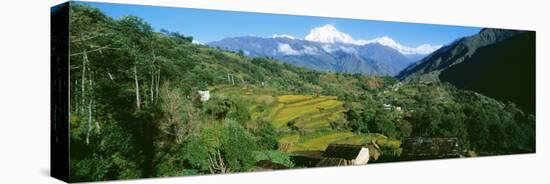 Annapurna Reg Nepal-null-Stretched Canvas