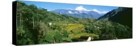Annapurna Reg Nepal-null-Stretched Canvas