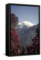 Annapurna South-Andrew Taylor-Framed Stretched Canvas