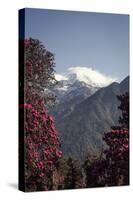 Annapurna South-Andrew Taylor-Stretched Canvas