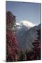 Annapurna South-Andrew Taylor-Mounted Photographic Print