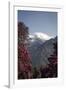 Annapurna South-Andrew Taylor-Framed Photographic Print