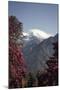 Annapurna South-Andrew Taylor-Mounted Photographic Print