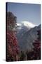 Annapurna South-Andrew Taylor-Stretched Canvas