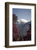 Annapurna South-Andrew Taylor-Framed Photographic Print