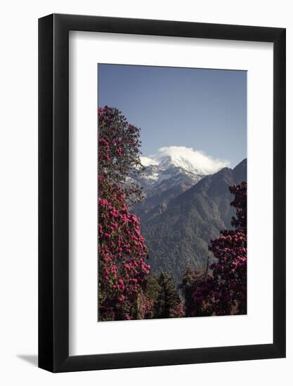 Annapurna South-Andrew Taylor-Framed Photographic Print