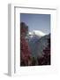 Annapurna South-Andrew Taylor-Framed Photographic Print