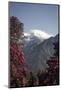 Annapurna South-Andrew Taylor-Mounted Photographic Print