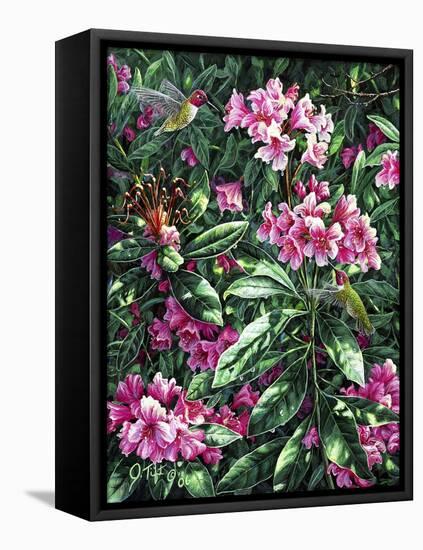 Annas and Rhodies-Jeff Tift-Framed Stretched Canvas