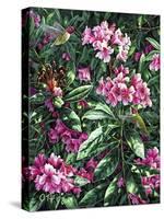 Annas and Rhodies-Jeff Tift-Stretched Canvas