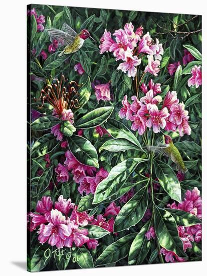 Annas and Rhodies-Jeff Tift-Stretched Canvas