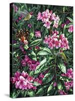 Annas and Rhodies-Jeff Tift-Stretched Canvas