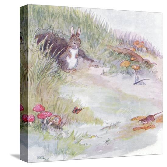 Stretched Canvas Print, , large