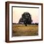 Brown Frame