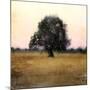 Wood Mount