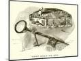 Wood Mount