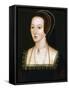 Anne Boleyn, Second Wife of Henry VIII, C1520-1536-null-Framed Stretched Canvas