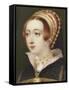 Anne Boleyn-Henry Pierce Bone-Framed Stretched Canvas