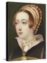 Anne Boleyn-Henry Pierce Bone-Stretched Canvas