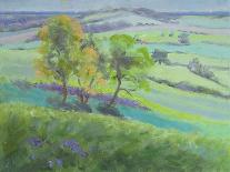 Towards Winchelsea, Sussex, with Bluebells in Spring-Anne Durham-Giclee Print