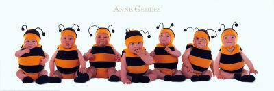 Bumblebee Babies-Anne Geddes-Mounted Art Print
