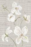 Fleurs du Jardin-Anne Gerarts-Stretched Canvas