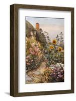 Anne Hathaway's Cottage and Garden. Packed Herbaceous Borders Lead up to the Cottage-null-Framed Photographic Print