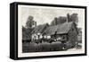 Anne Hathaway's Cottage at Shottery-null-Framed Stretched Canvas