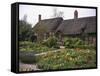 Anne Hathaway's Cottage, Birthplace and Childhood Home of Shakespeare's Future Wife, England-null-Framed Stretched Canvas